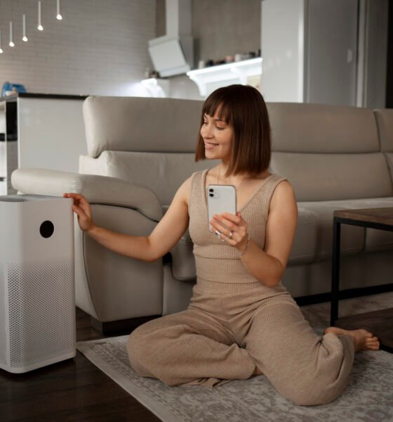 humidifier or dehumidifier