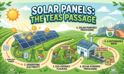 solar panels teas passage