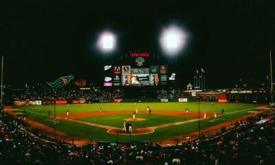 baseball sportsfanfare