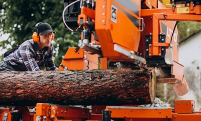 Tree Service Companies