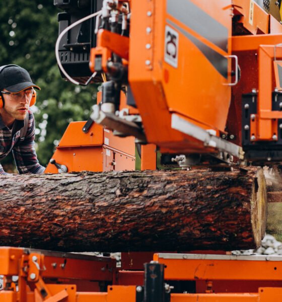 Tree Service Companies