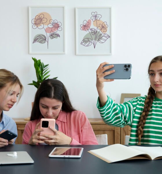 instagram story viewer insnoop