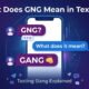 What does GNG mean in texting? Common meanings of GNG slang