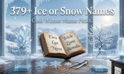 379+ ice or snow names and cool winter-inspired names
