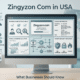 Zingyzon Com in USA guide for businesses